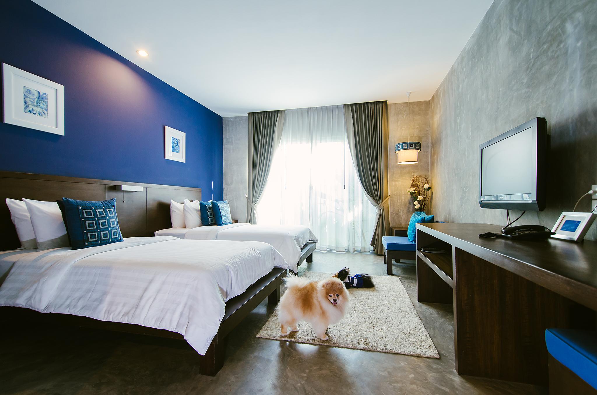 Ketawa Pet Friendly Hotel Чиангмай Экстерьер фото