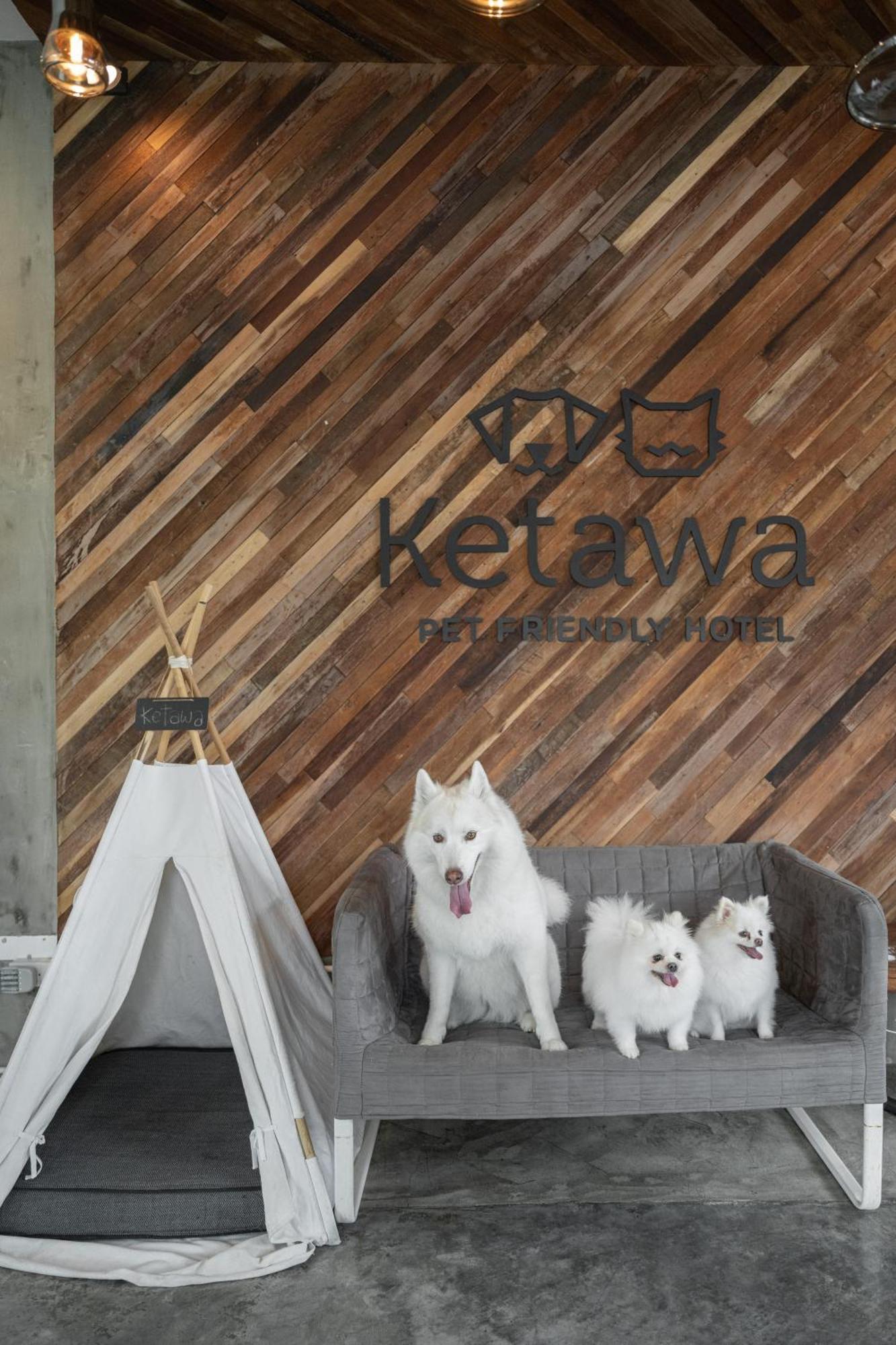 Ketawa Pet Friendly Hotel Чиангмай Экстерьер фото