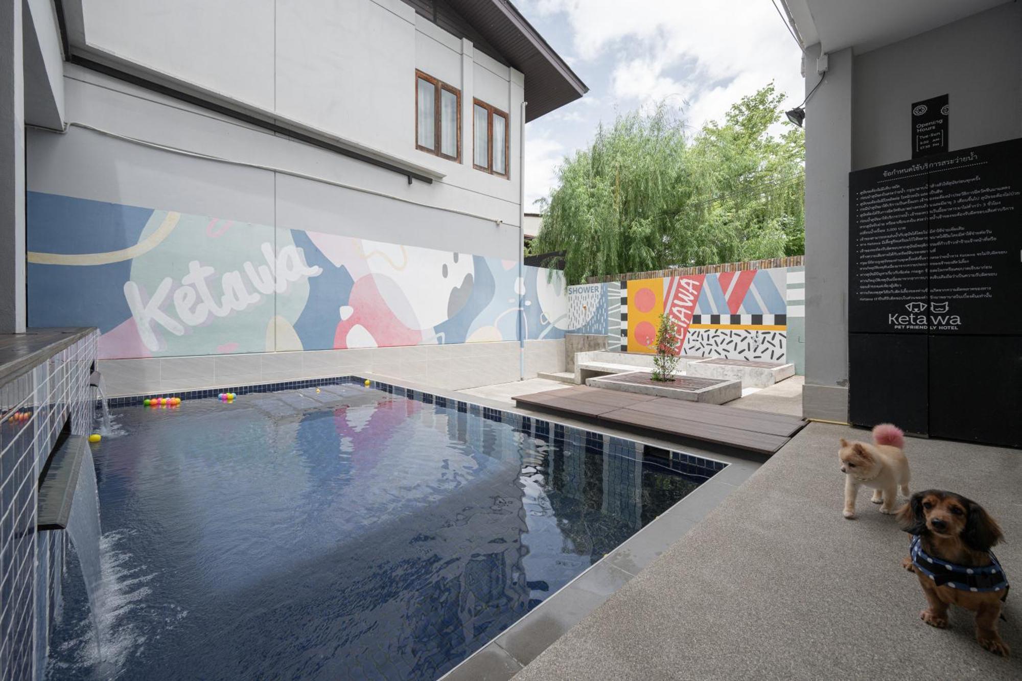 Ketawa Pet Friendly Hotel Чиангмай Экстерьер фото