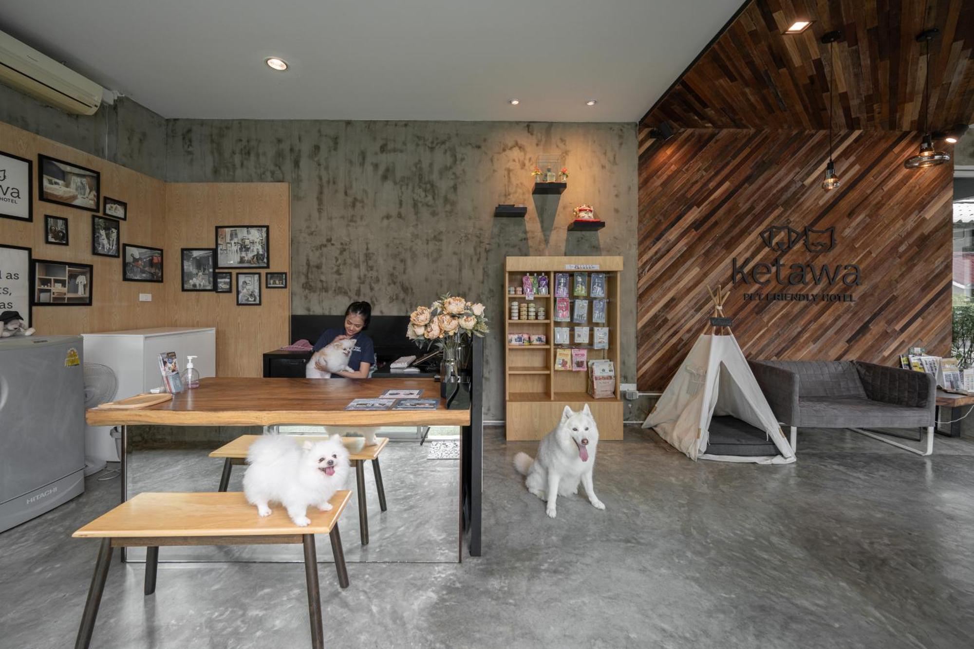 Ketawa Pet Friendly Hotel Чиангмай Экстерьер фото